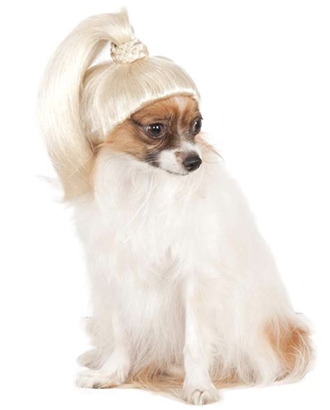 amazon dog wig